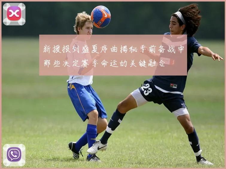 新援报到盛夏序曲揭秘季前备战中那些决定赛季命运的关键融合