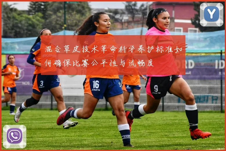 混合草皮技术革命科学养护标准如何确保比赛公平性与流畅度